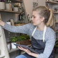 What Percentage of Small Business Loans Are Approved?